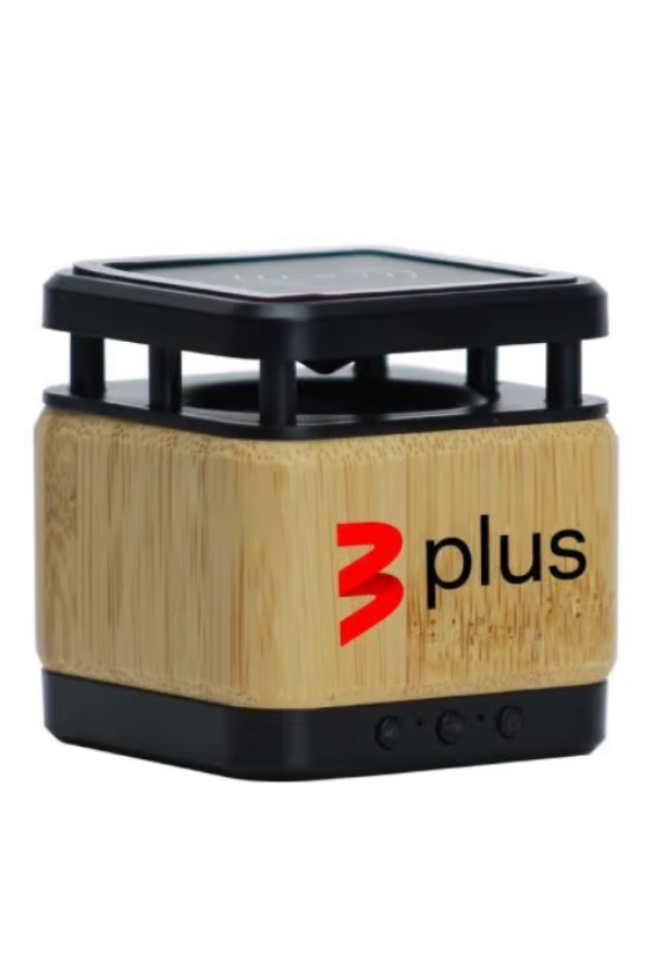CORPORATE ACCESSORIES CORPORATE ACCESSORIES